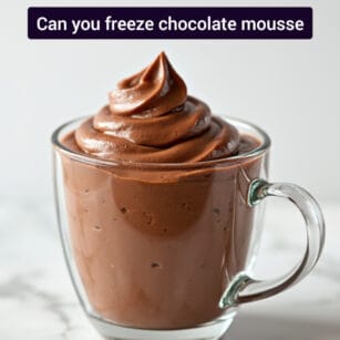 guide on can you freeze chocolate mousse