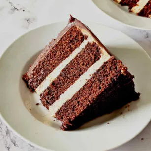 Chocolate Nutella cake Image and recipe by Sayali Bhave. Copyright : www.dessertkatta.com