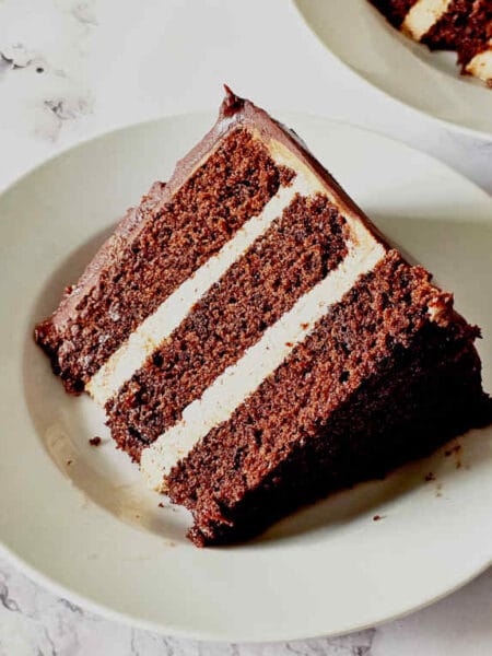 Chocolate Nutella cake Image and recipe by Sayali Bhave. Copyright : www.dessertkatta.com