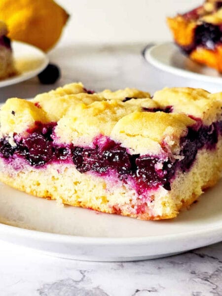 Lemon blueberry bars. Image and recipe by Sayali Bhave. Copyright : www.dessertkatta.com