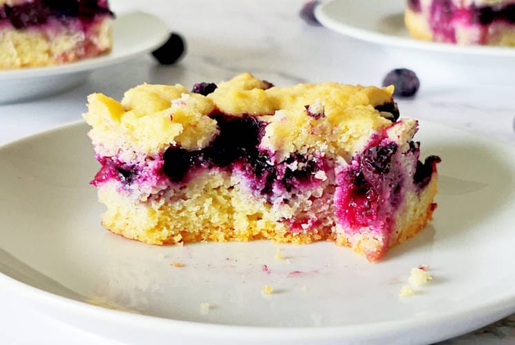 front show of lemon blueberry bar showing the texture from inside