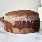 chocolate sponge cake