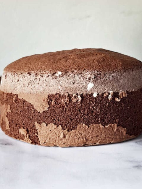 chocolate sponge cake
