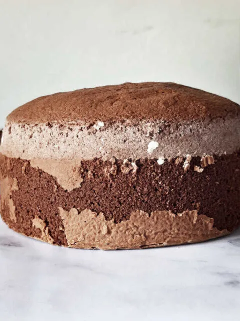 chocolate sponge cake