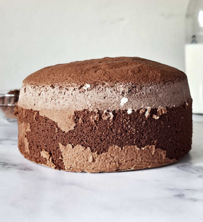 chocolate sponge cake