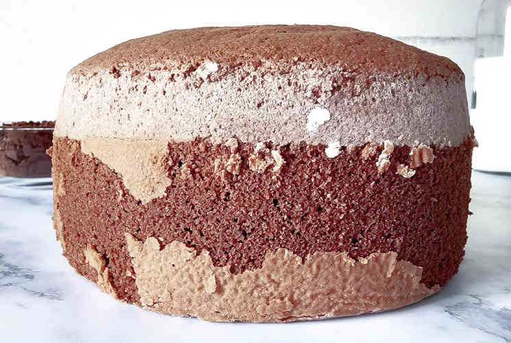 front shot of chocolate sponge cake